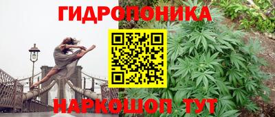 круглые Усть-Илимск