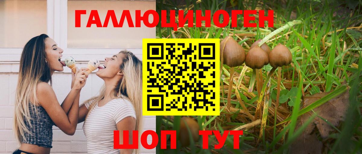 что такое   Псилоцибиновые грибы Magic Shrooms  Вход с VPN  Моздок 